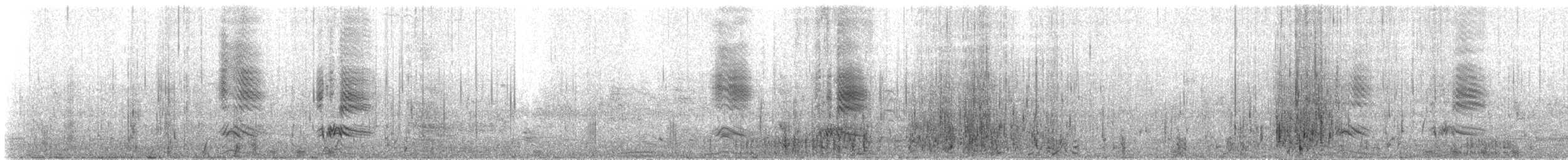 Smergo minore - ML310934