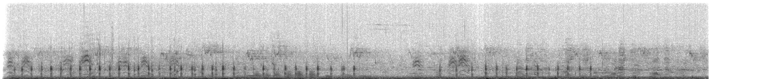 Smergo minore - ML310935