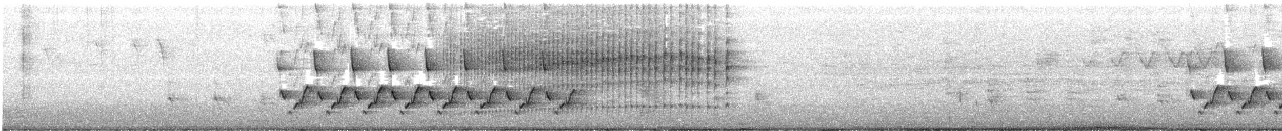 Troglodyte de Caroline - ML310935301