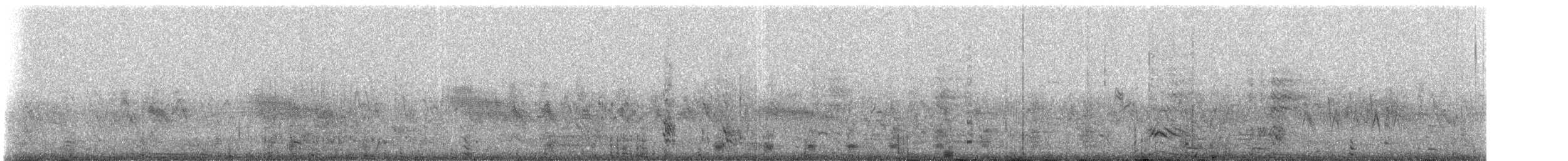 Smergo minore - ML310936