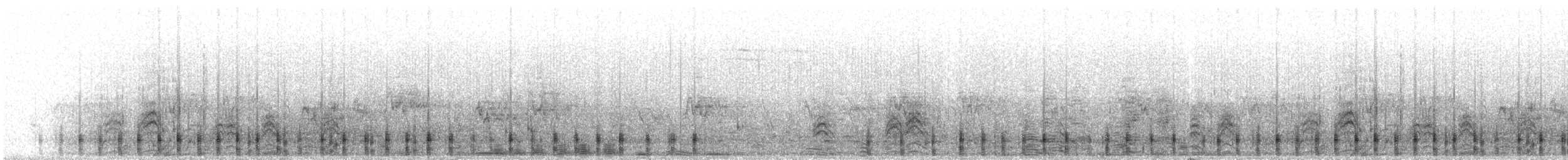 Smergo minore - ML310937