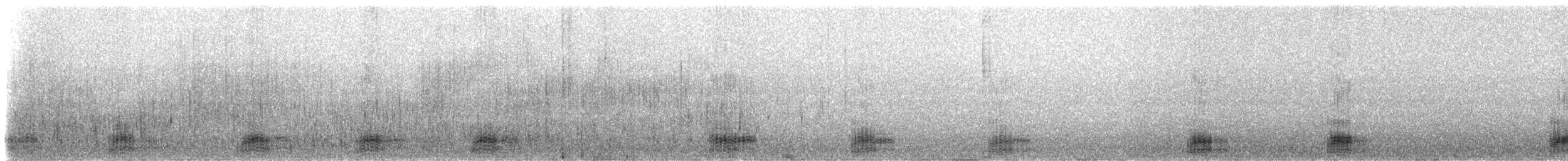 Smergo minore - ML310938