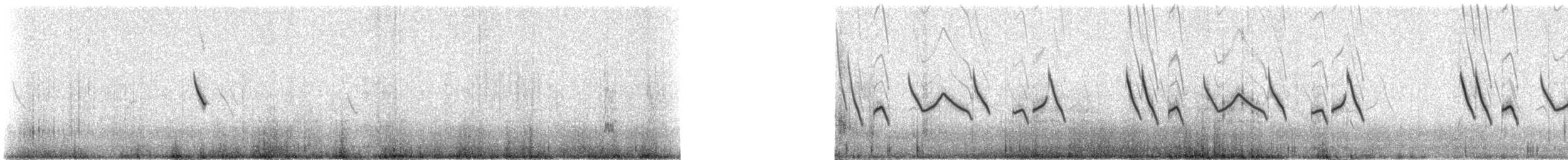 Black-crowned Sparrow-Lark - ML310961