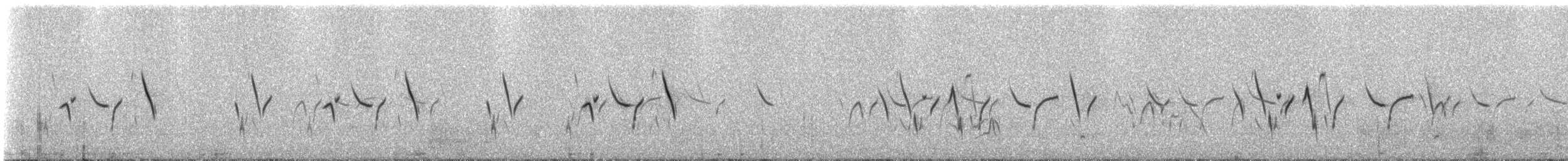 Black-crowned Sparrow-Lark - ML310964