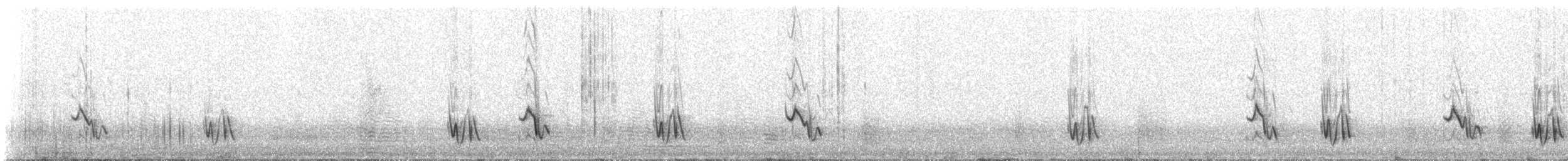 Bar-tailed Lark - ML310972