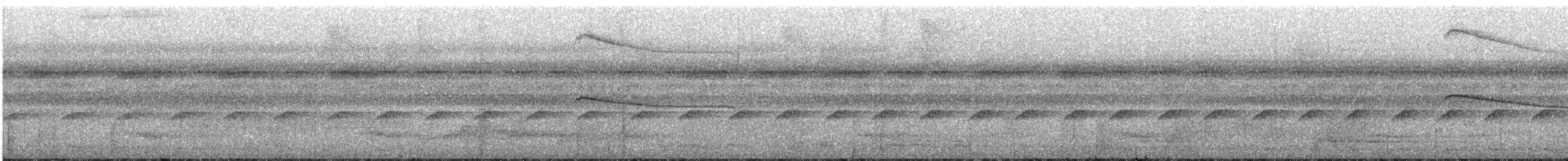 Tamatia brun - ML310978681