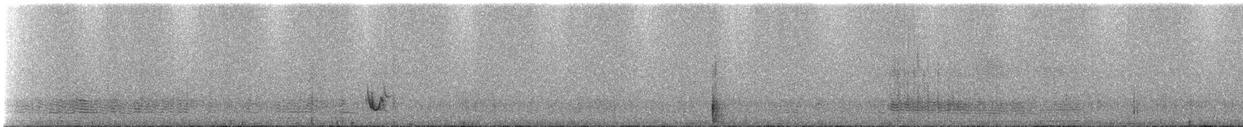 Hirondelle du désert - ML311006