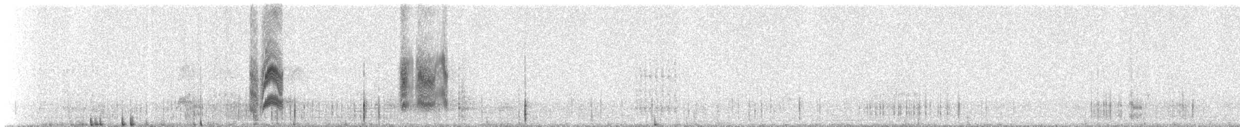 Hirondelle du désert - ML311007