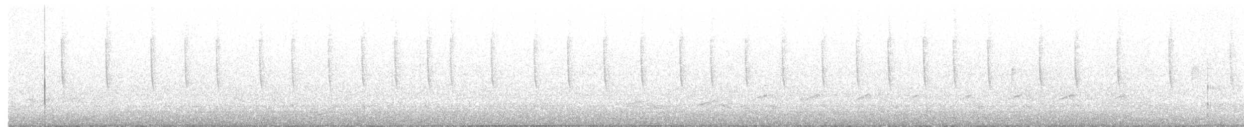 Geniş Kuyruklu Kolibri - ML311034191