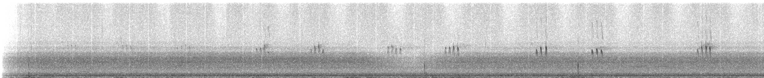 Bécasseau de Temminck - ML311040