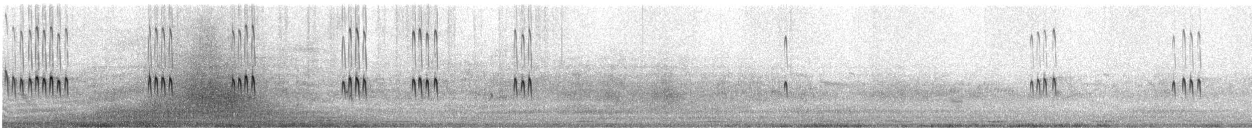 Bécasseau de Temminck - ML311042