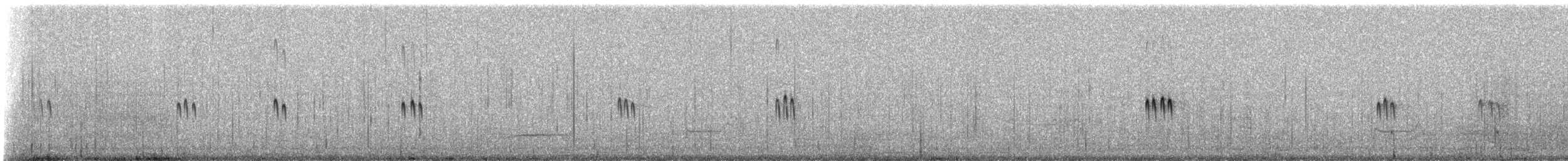 Bécasseau de Temminck - ML311043