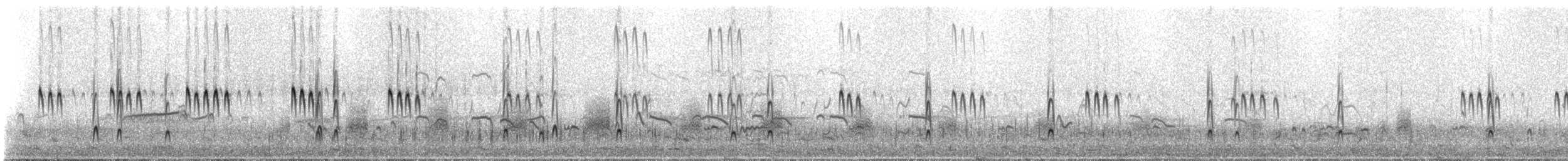 Bécasseau de Temminck - ML311044