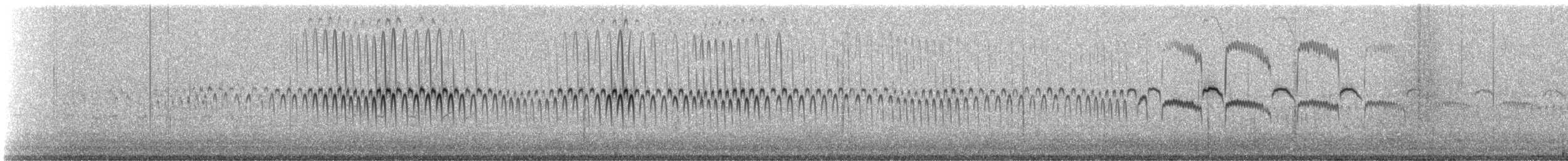 Bécasseau de Temminck - ML311045