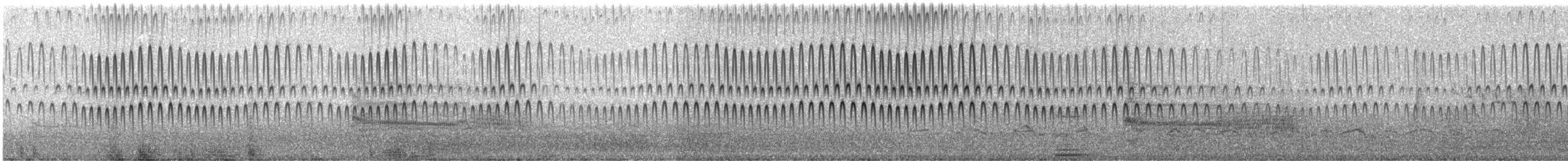 Bécasseau de Temminck - ML311046