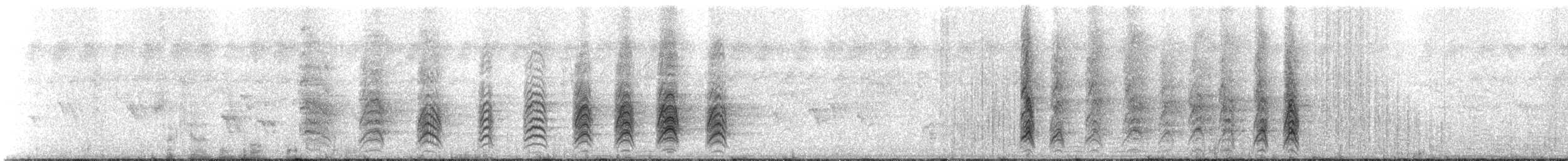 Anaplecte écarlate - ML311112