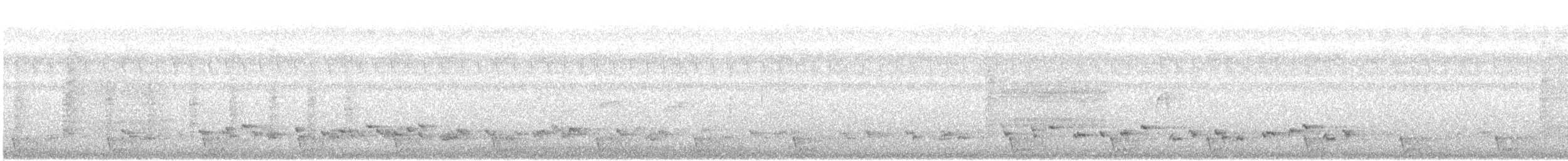 Large-tailed Nightjar - ML31112591