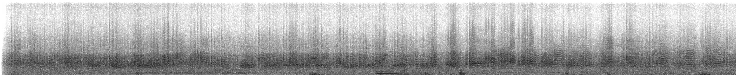 Sula - ML311138