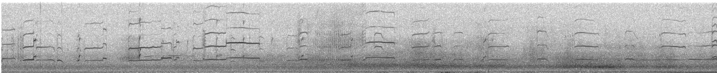 Eurasian Thick-knee - ML31115371