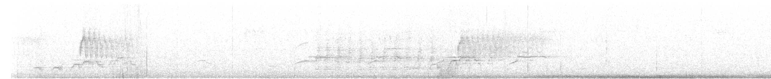 Дрізд-короткодзьоб Cвенсона - ML31115401