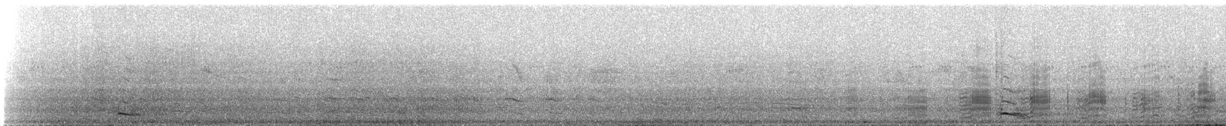 European Shag - ML311156