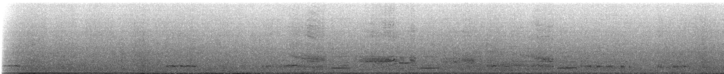 European Shag - ML311157