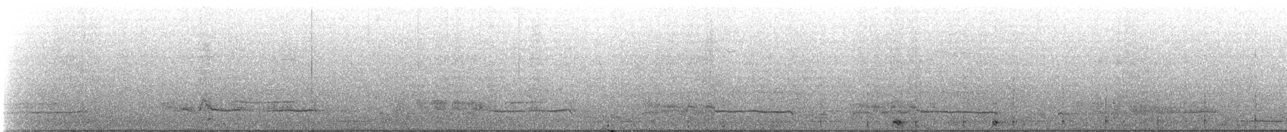 European Shag - ML311158