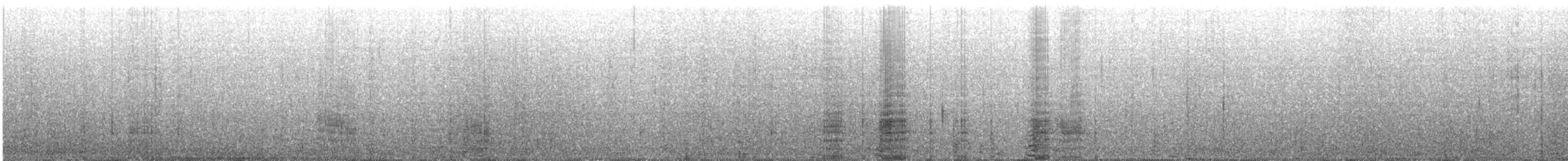 European Shag - ML311159