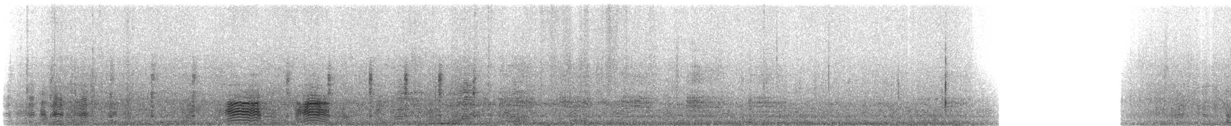 dvergskarv - ML311160