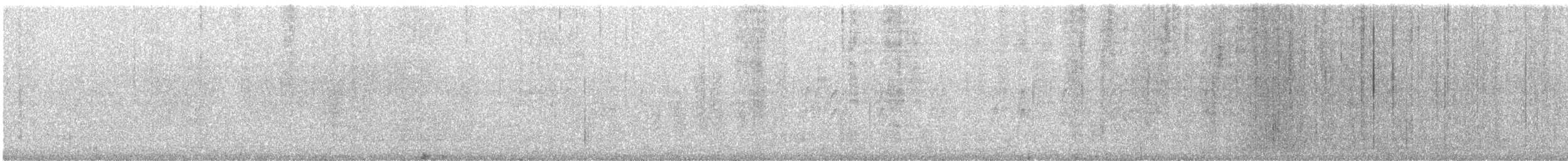 dvergskarv - ML311161