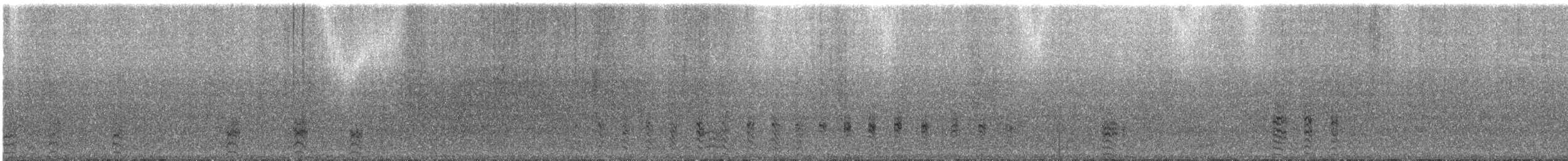 Little Bittern - ML311174