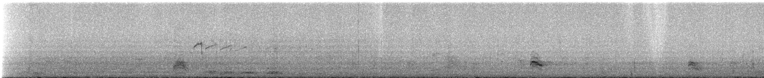 Little Bittern - ML311175