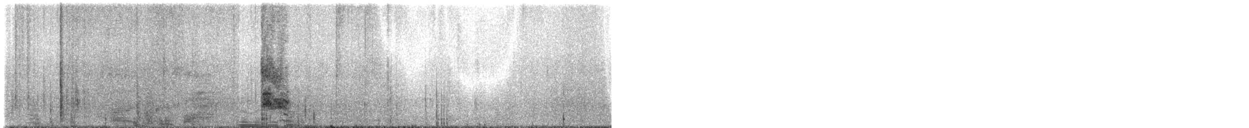 Little Bittern - ML311176