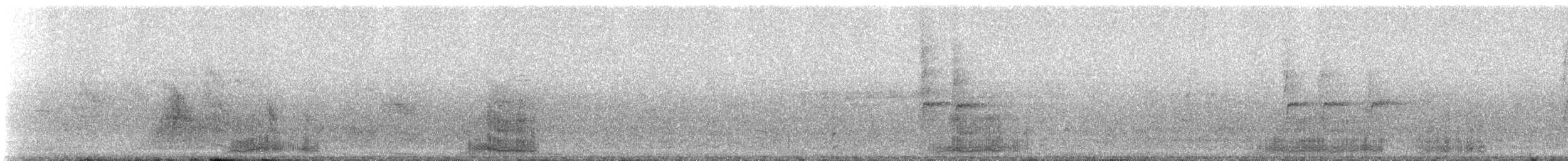 Little Bittern - ML311177