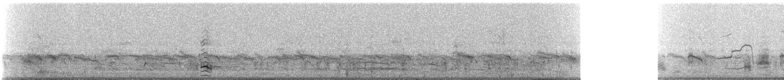 Little Bittern - ML311178