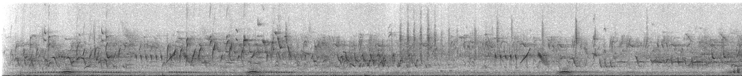 Little Bittern - ML311179