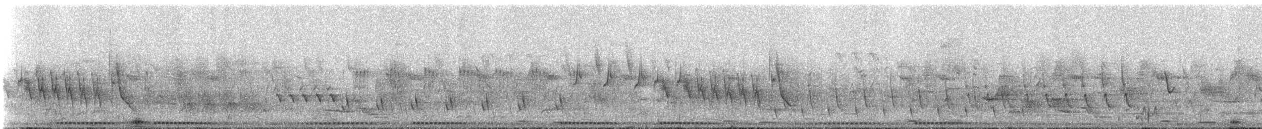 Little Bittern - ML311180