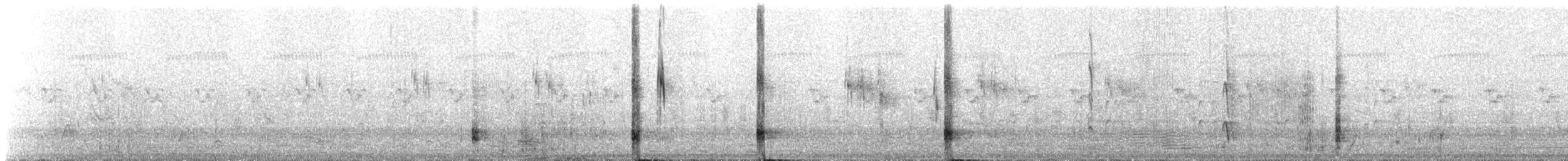 Little Bittern - ML311181