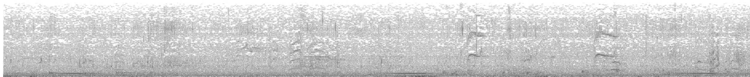 Drab Water Tyrant - ML311213311