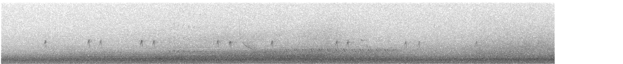 "Шишкар ялиновий (Northeastern, або тип 12)" - ML311252531