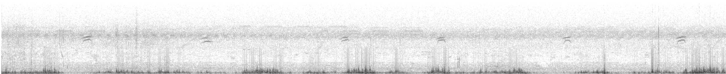 White-tailed Stonechat - ML311297121