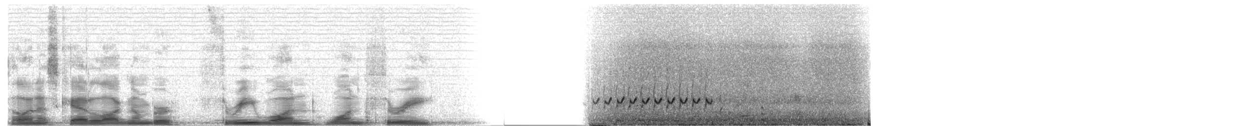 Wiesenstrandläufer - ML3113