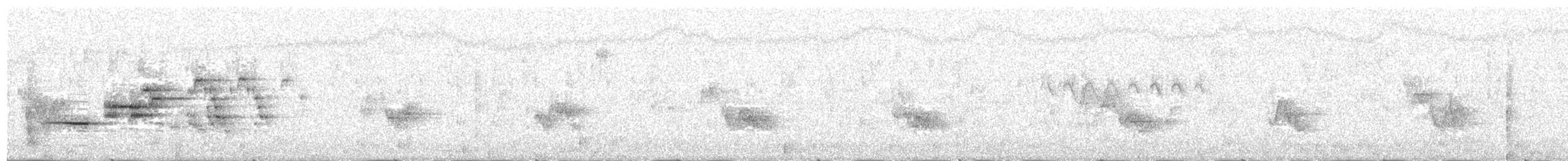 Дрозд-отшельник - ML31131721