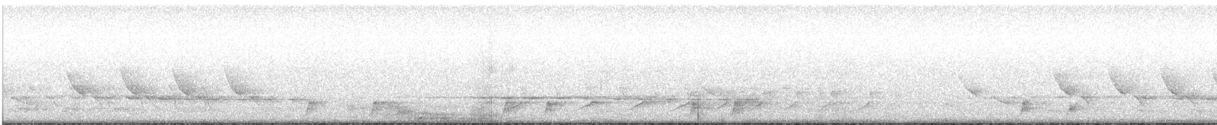 Schwarzkehl-Nachtschwalbe - ML311318031