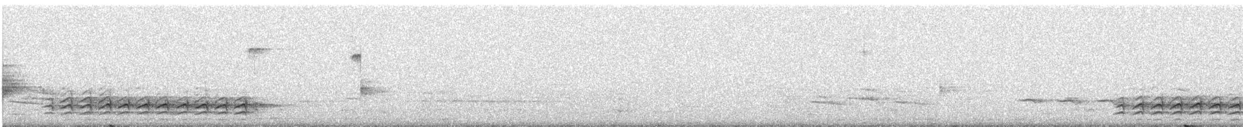 Beyaz Göğüslü Sıvacı (carolinensis) - ML311365341