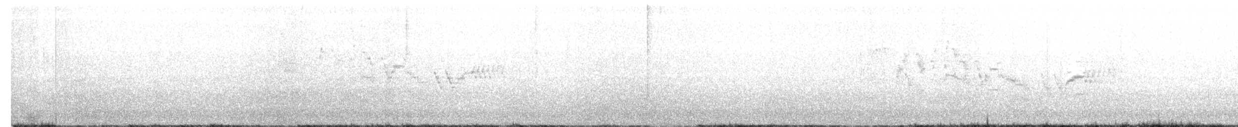 Bicknell Bülbül Ardıcı - ML311394151