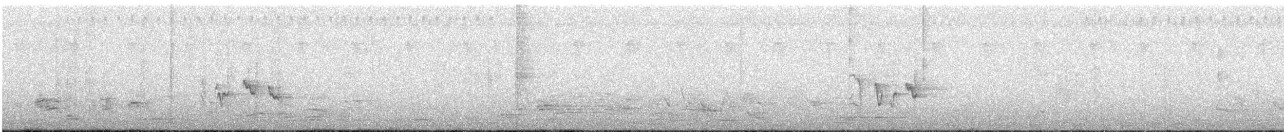 Мышиная нектарница - ML311395041