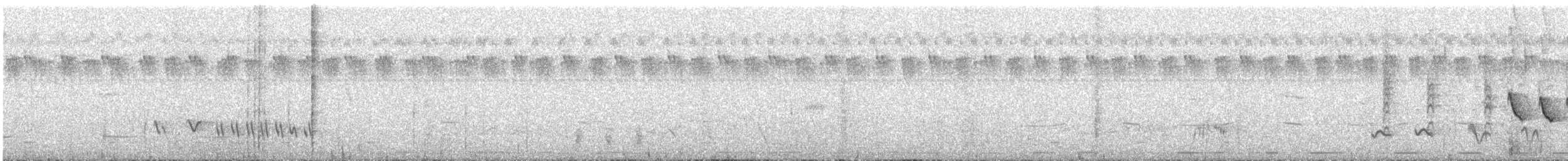 Suimanga Ratonil - ML311397201