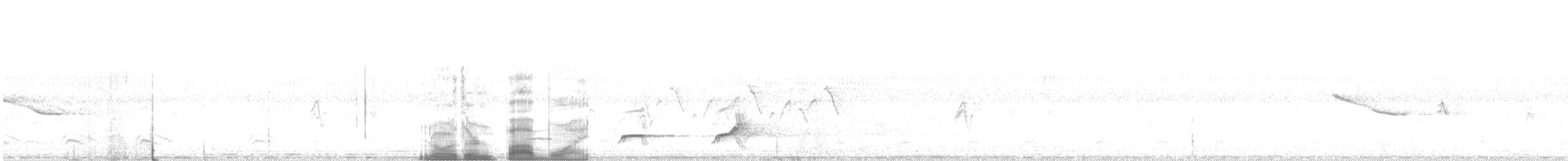 nordkrattvaktel (virginianus gr.) - ML31140951