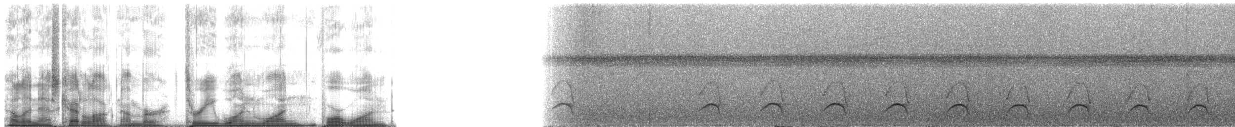 Лінивка-коротун сіродзьоба - ML31141